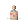 Manikin CPR Prestan Lokal