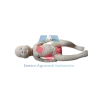 Manikin Bayi