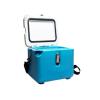 Baliem Vaccine Carrier / Cool Box RD 11