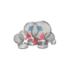 Sieve Analysis